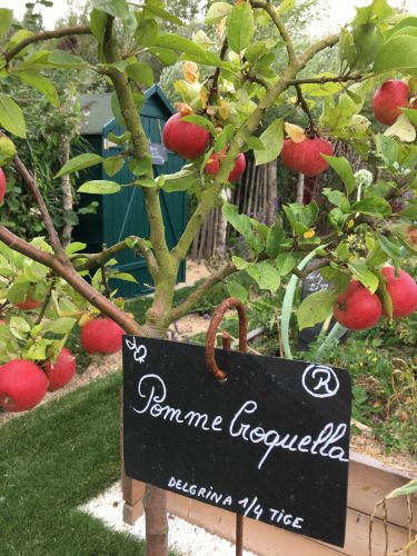 La Sauvagine Terre et Passion®