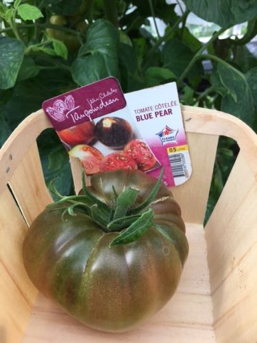 La Sauvagine Terre et Passion®