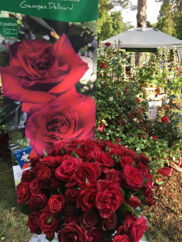 La Sauvagine Terre et Passion®