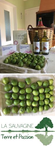 La Sauvagine Terre et Passion®