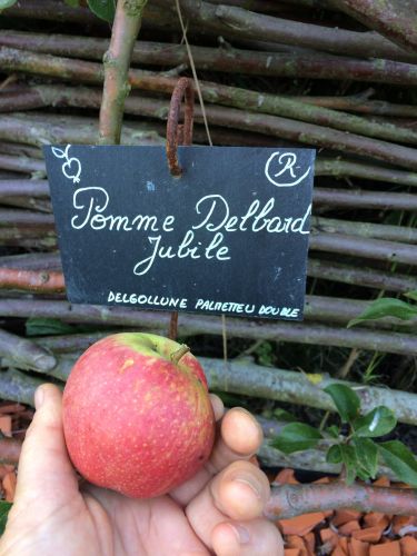 La Sauvagine Terre et Passion®