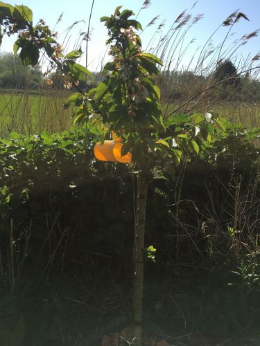 La Sauvagine Terre et Passion®