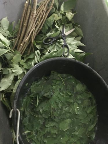 La Sauvagine Terre et Passion®