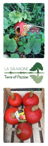 La Sauvagine Terre et Passion®