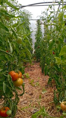 La Sauvagine Terre et Passion®