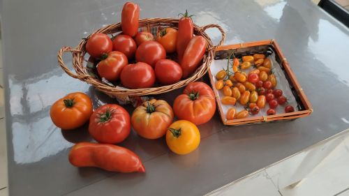 La Sauvagine Terre et Passion®