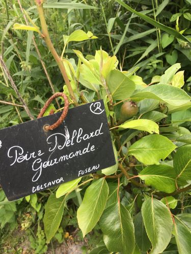 La Sauvagine Terre et Passion®