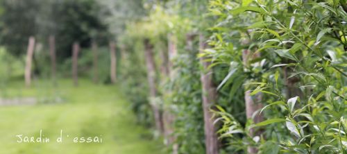 La Sauvagine Terre et Passion®