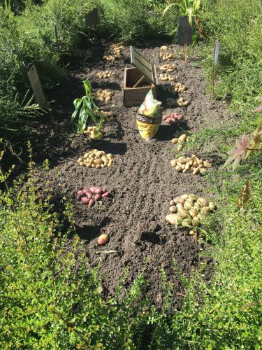 La Sauvagine Terre et Passion®