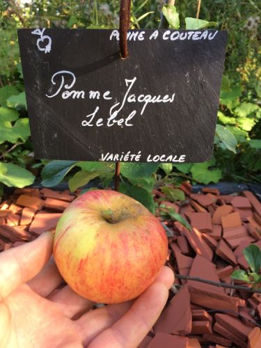 La Sauvagine Terre et Passion®