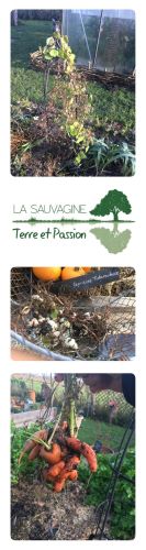La Sauvagine Terre et Passion®