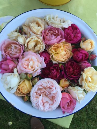 La Sauvagine Terre et Passion®