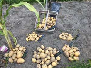 La Sauvagine Terre et Passion®