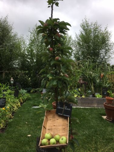 La Sauvagine Terre et Passion®