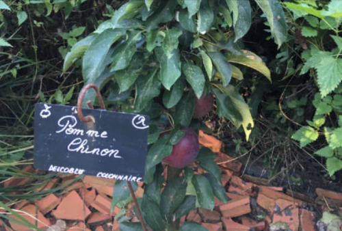 La Sauvagine Terre et Passion®